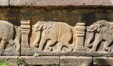 Ancient stone carvings of elephants on a historical site wall.