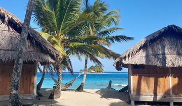 Tropical beach with huts, palm trees, and clear blue water.