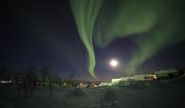 Northern Lights dancing in the sky over a snowy landscape.