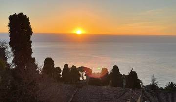 Sunset view over the ocean with trees on the horizon.