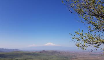 Snow-capped mountain with blue sky and tree in the foreground.