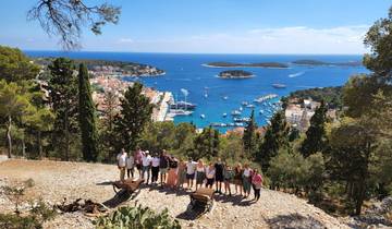 Group of tourists overlooking the sea from a hill.
