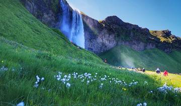 Waterfall cascading from a cliff with flowers in the foreground