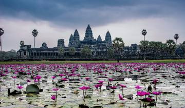 Angkor Wat in Cambodia surrounded by a field of lotus flowers.