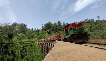 Train crossing a picturesque bridge surrounded by greenery.