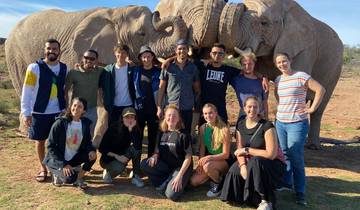 Group of people posing with two elephants.