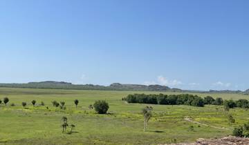 Wide open landscape with greenery and distant hills.