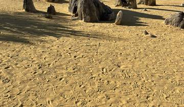 Sandy landscape with rock formations and footprints.