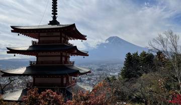 A pagoda with Mount Fuji in the background.