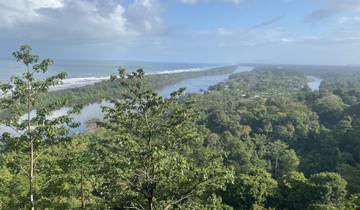 Panoramic view of a jungle and river meeting the ocean.