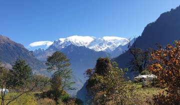 Snow-capped mountains with a clear sky and surrounding forest.