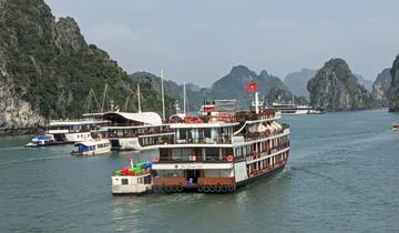Tour boats in a bay surrounded by limestone karsts.