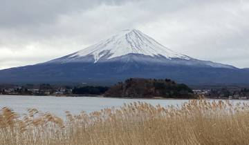 Snow-capped Mount Fuji with a lake and reeds in the foreground.