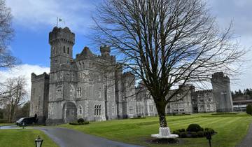 A large castle with a tree in the foreground and cloudy sky.