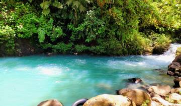 Bright blue river flowing through the forest.