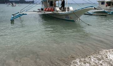 Boat by the shore in a tropical setting.