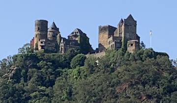 Castle on hilltop with surrounding trees.