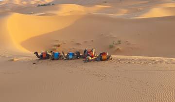 Desert landscape with camels resting on the sand dunes.