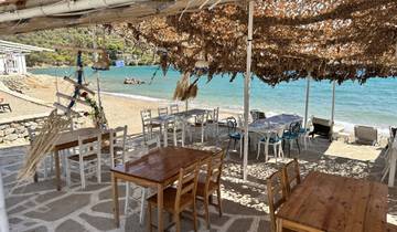 Beachside restaurant with tables and chairs under a leafy canopy.