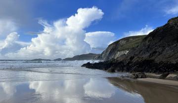 A scenic beach with reflective water and cliffs.