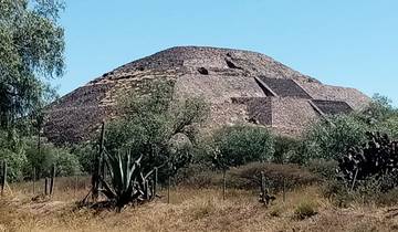 Ancient pyramid structure surrounded by vegetation.