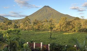 View of a lush landscape with a large volcano.