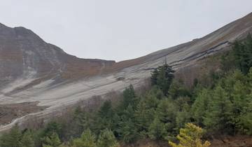 Mountainous landscape with pine trees and rocky slopes.