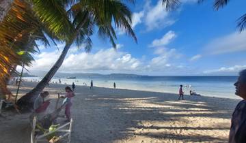 Beach scene with palm trees and ocean.