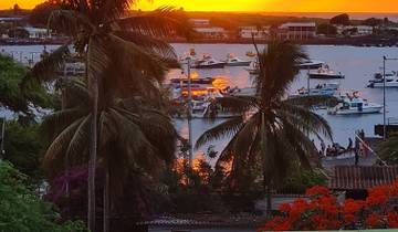 Sunset over a bay with palm trees and boats.