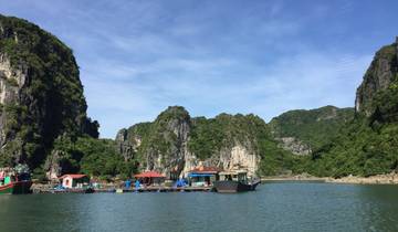 Floating structures and boats in a calm bay surrounded by limestone cliffs.