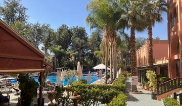 Lush hotel pool area with palm trees and sun loungers.