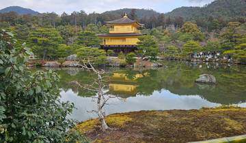 A golden pavilion beside a reflective pond surrounded by trees