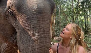 Woman interacting with an elephant in a forested area.