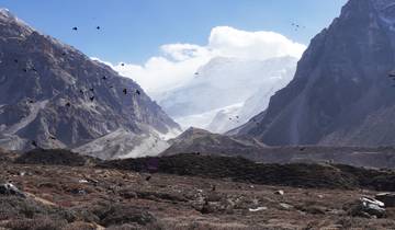 Snow-capped mountains with birds flying.