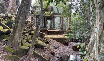 Ancient ruins surrounded by trees.
