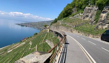 Scenic drive through terraced vineyards along a lake.