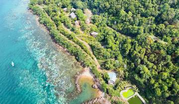 Aerial view of coastline with lush forest and clear water.