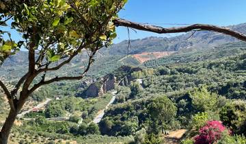 Scenic view of a lush green valley with mountains in the distance.