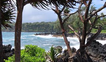 Rocky coastline with lush vegetation and waves.
