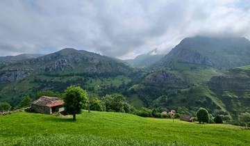A lush green valley with mountains in the background.