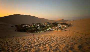 Sand dunes surrounding an oasis at dusk.