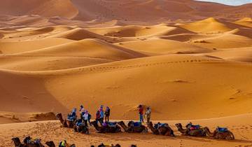 Group of people and camels in a desert setting with sand dunes.
