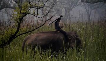 Person riding an elephant through tall grass.