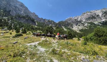 Hikers and pack animals on a mountain trail.