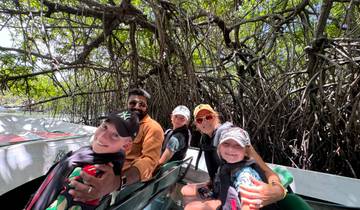 Group of people on a boat ride through mangrove forests.