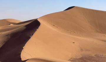 Sand dunes with footprints leading over the crest