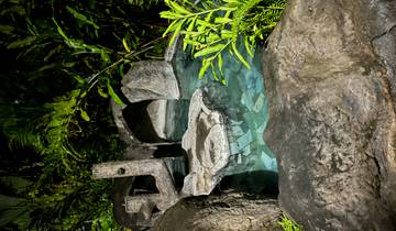 Natural pool surrounded by rocks and tropical plants.