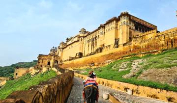 A magnificent fort on a hill with an elephant on the pathway.
