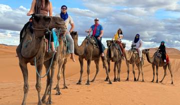 Group of people riding camels in the desert.