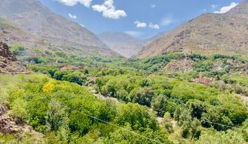 Lush green valley with mountains in the background.